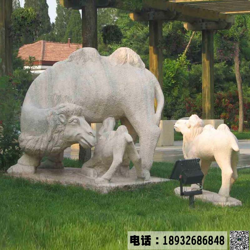 加工石雕动物骆驼雕塑  公园广场动物摆件